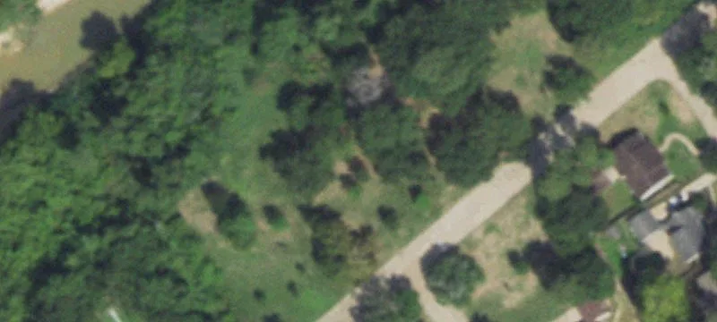 Cleared Lot in Ponderosa Forest