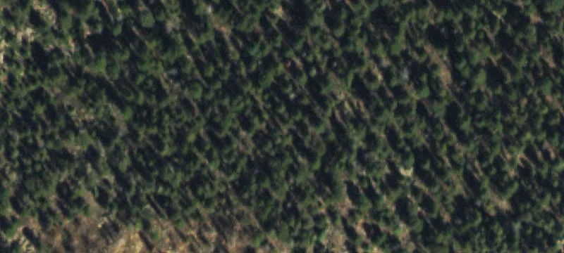 Richmond Hill Vacant Land Opportunity