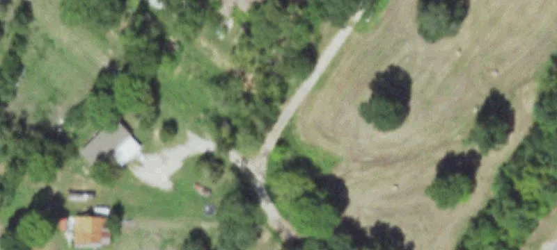 East Texas Wooded Acreage Tracts