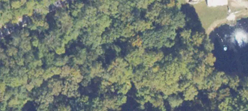 Wooded 5-Acre Lot