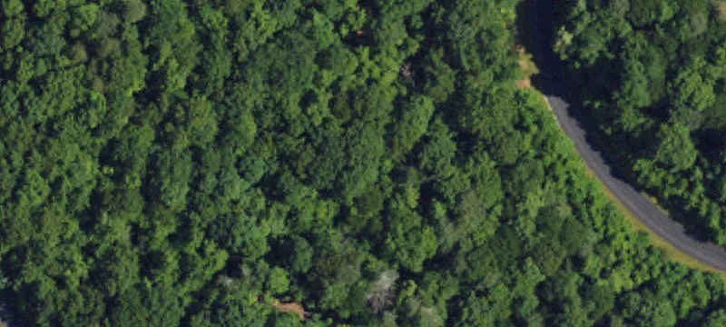 Wooded Lot in Gated Community