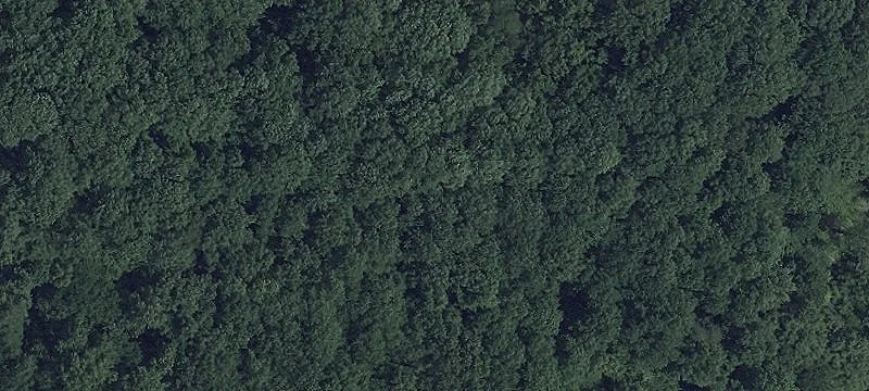 Residential Lot in Established Subdivision