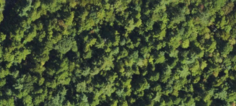 Eagle Lake Lot for Sale