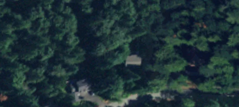 Treed Lot with Mountain Views