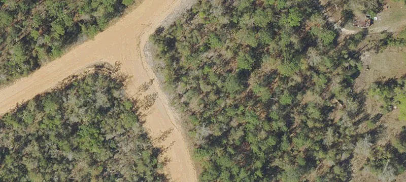 Wooded Lot in Quiet Area