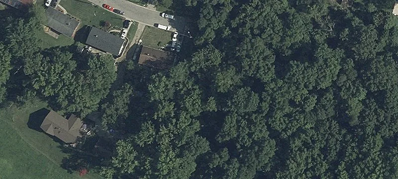 Land in Developing Forest Heights