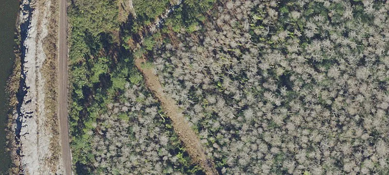 Vacant Land in Orlando, Florida