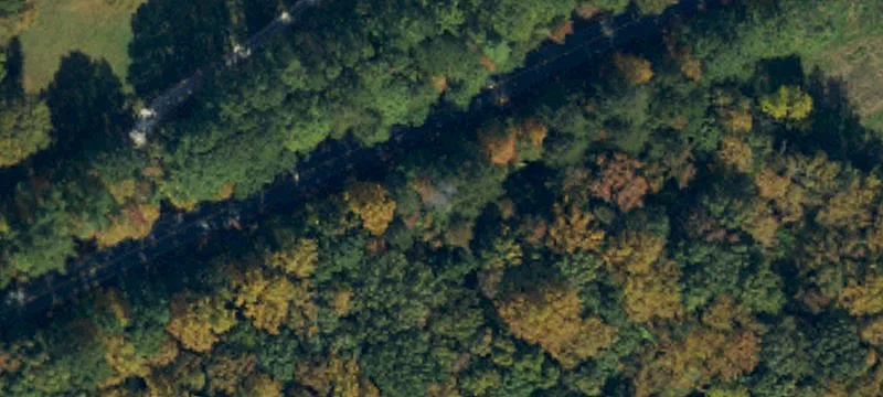 Secluded Wooded Parcel in Providence