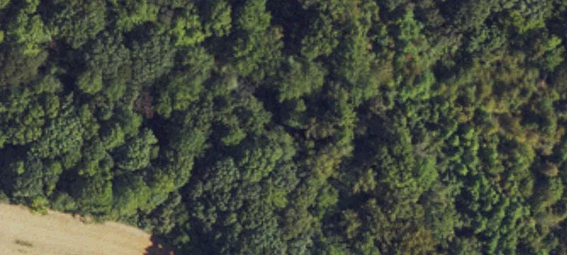 Wooded Lot with Public Water