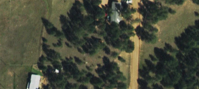 Treed Lot in Crystal Peak