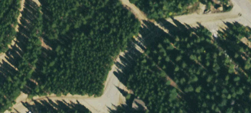 Level Lot Near National Forest