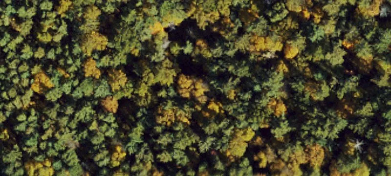 Mountain Land Near Blue Ridge