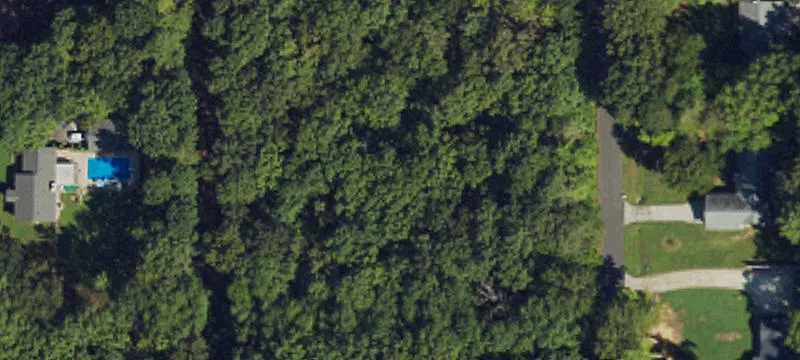 Wooded Land in North Durham