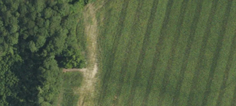 Vacant Lot in Princeton District