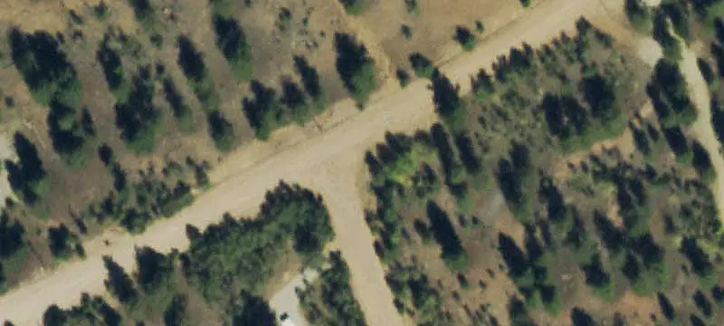 Treed Lot Near Trout Creek