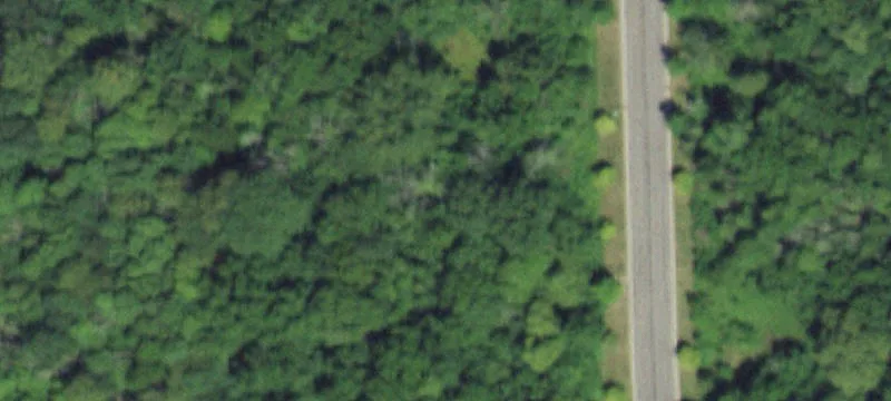 Large Wooded Lot in Oswego