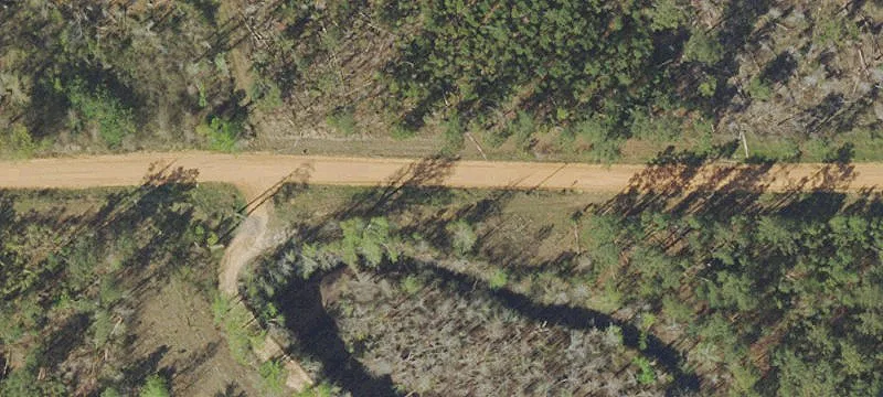 10 Acres Wooded Land