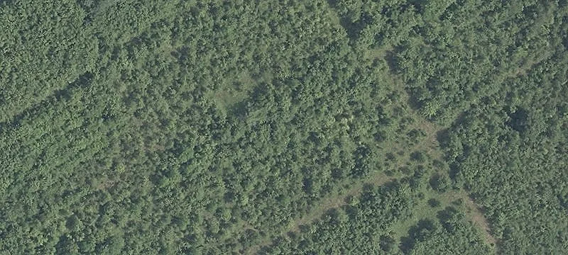 Chicamuxen Road Wooded Land
