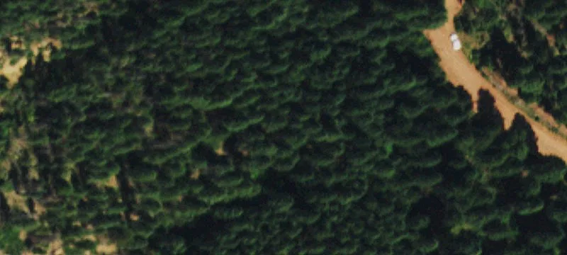 Secluded Treed Land in Larkspur