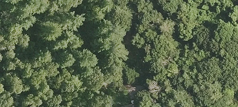 Land Parcels Near Highland Lake