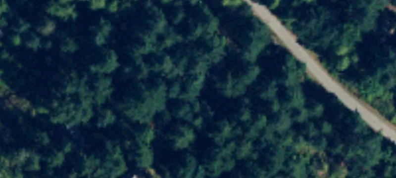 Lummi Island Treed View Lot