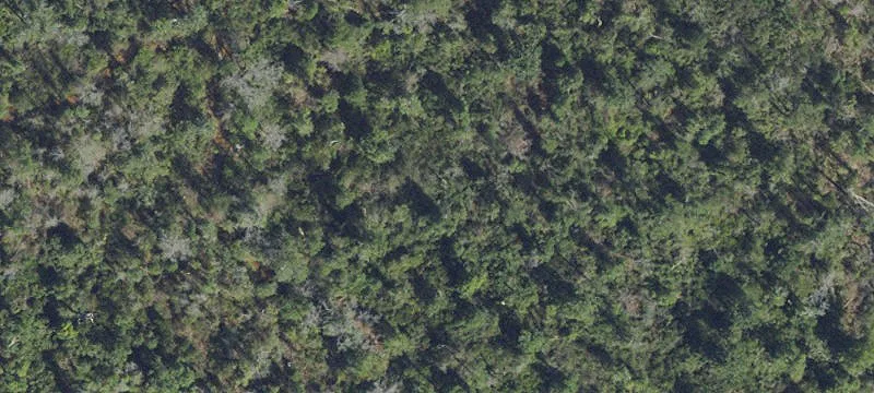 20 Acres with Sweetwater Creek
