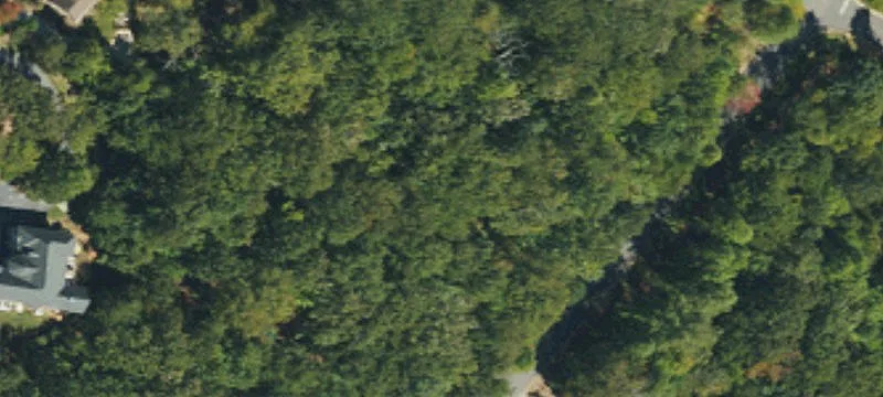 Wooded Lot in Gated Community