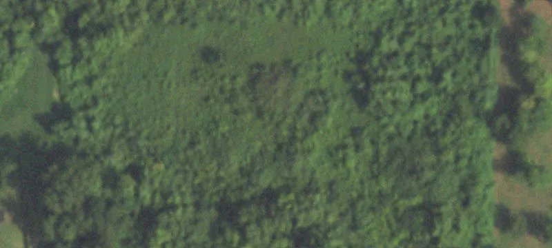 Unrestricted Land Investment Opportunity