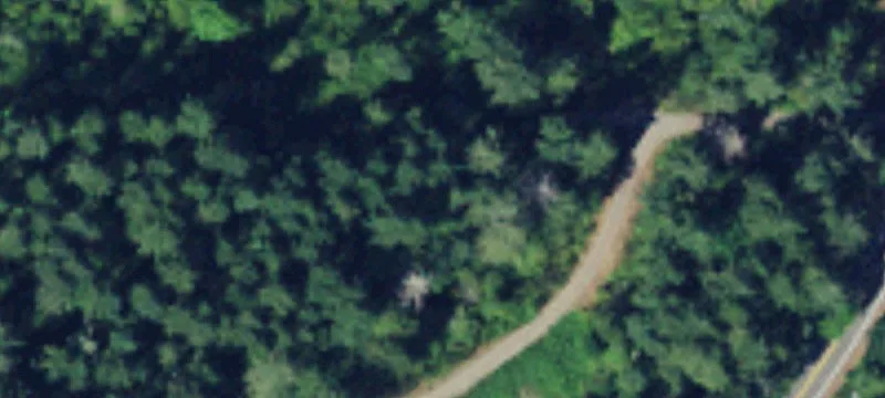 Gig Harbor Acreage with Bay Views