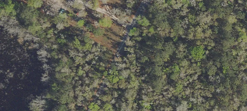 Versatile Acreage in Chipley Location