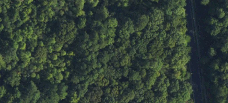 Wooded Land in Durham County