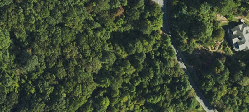 Upscale Laurel Park Homesite