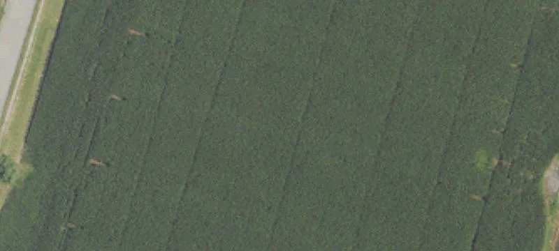 Prime Commercial Land For Sale