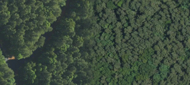 Three Wooded Lots in Denton