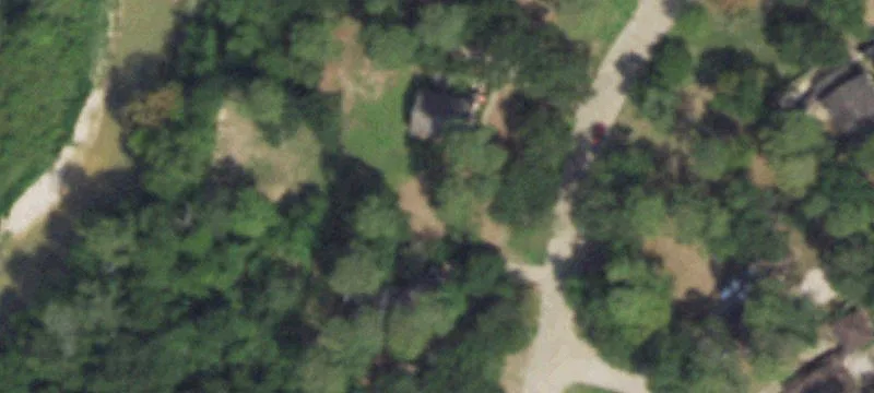 Cleared Lot in Ponderosa Forest