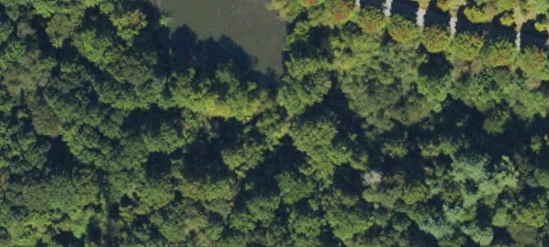 Residential Lot with Pond