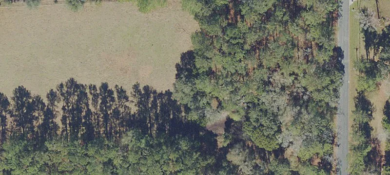 Marion County Horse Country Acreage