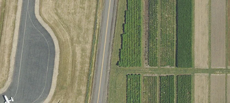 Airport Building For Sale