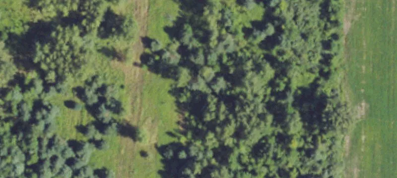 Marijuana Grow Facility For Sale