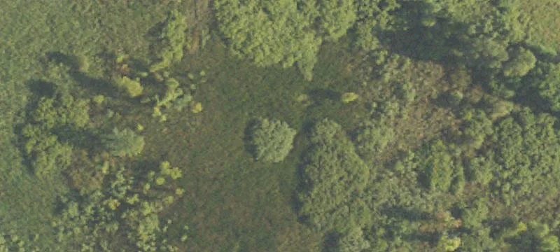 199 Acres of Farmland