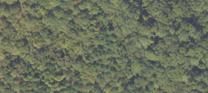 57 Acres Commercial Land