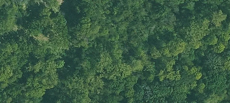 62.1 Acres of Land For Sale