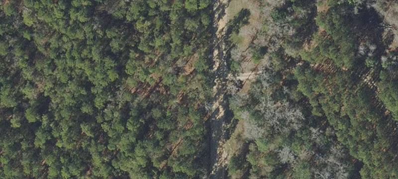 Secluded Homestead on 38 Acres