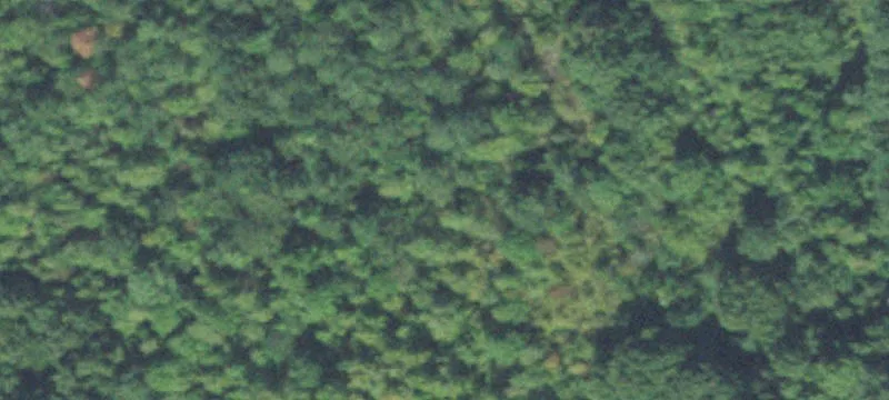 Cordova Land Development Opportunity