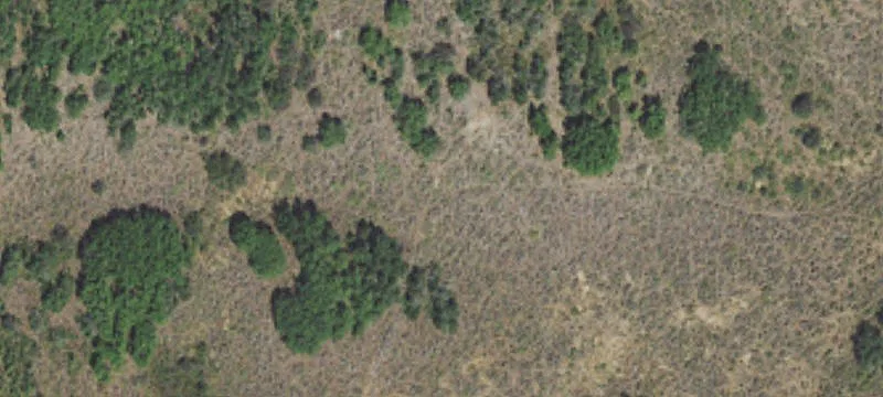 314 Acres with Water Rights