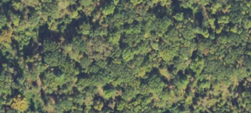 35.20 Acres Development Opportunity