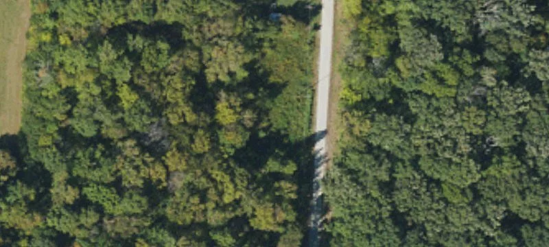 Wooded Lot for Dream Home