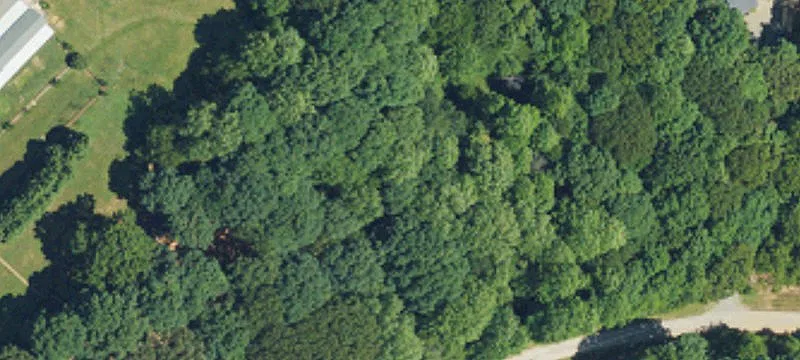 Wooded Lot in Mooresville