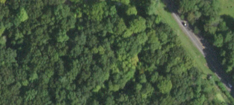 Wooded Parcel with Water Access
