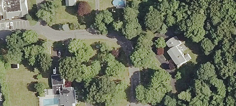 Wooded Lot in Desirable Subdivision